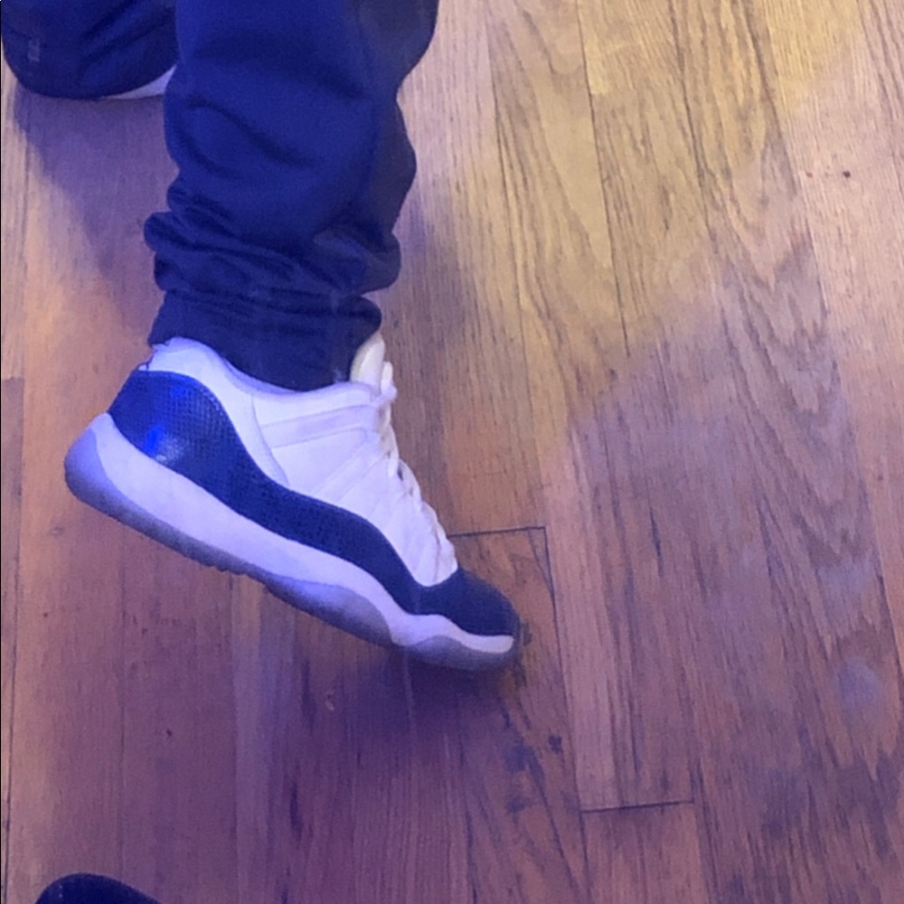 Jordan 11 retro Snakeskin